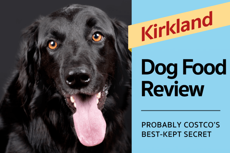 Is Kirkland dog food good for Sick Dog