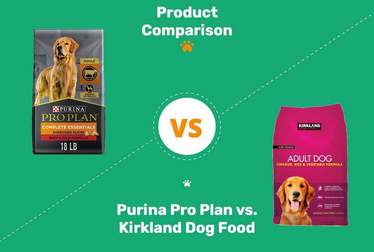 Natural food vs Kirkland dog food. Which brands to choose? 